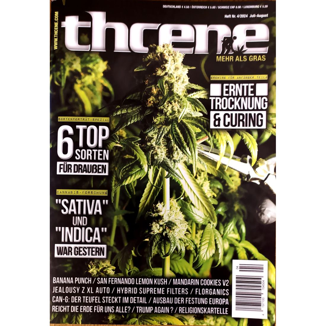 thcene Magazin Ausgabe 04/2024