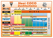 Hesi Düngeschema Coco
