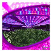 Method Seven Cultivator - LED+ Schutzbrille Farbausgleich