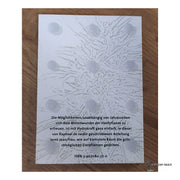 Hanfanbau mit Hydrokultur - Taschenbuch